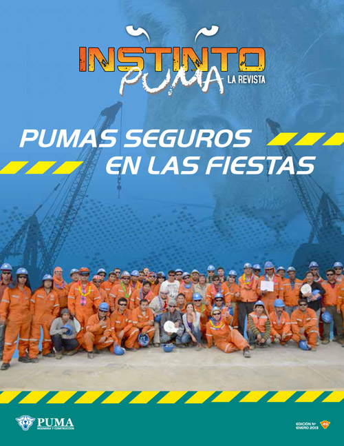 Revista Instinto Puma Nº49